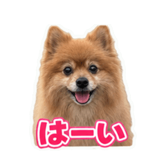 kuu_20260620164738