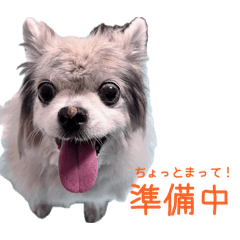 Saya_20260620164928