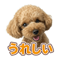chie_20260620165545