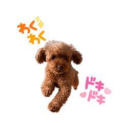 pon_20260620165627