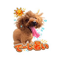 RyosukeSiroma_20260620171921