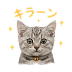 YUU_20260620171416