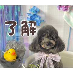 yuu_20260620181543