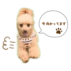 natchan_20260620181954