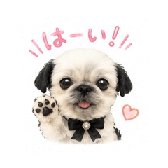 Yamada_20260620183451