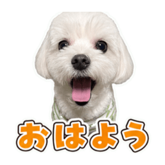 MINT_20260620190114