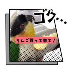 mayu_20260620195924