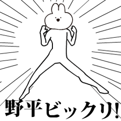 Rabbit Name nohira.moves!