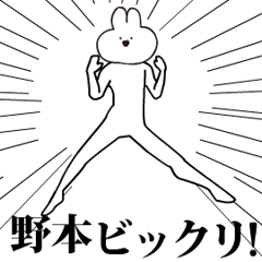 Rabbit Name nomoto.moves!