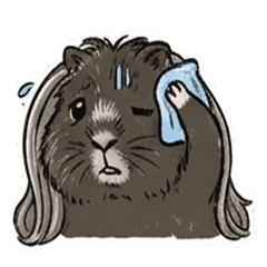 Happy Guineapig the day