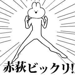 Rabbit Name akaogi.moves!