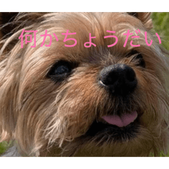 mayu_20260621185828