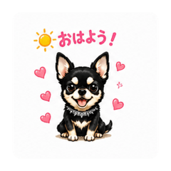 mayu_20260621193222