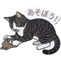 SUZU_20260620194528