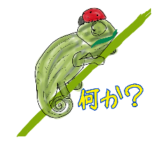 As long as it is chameleon(japanese)