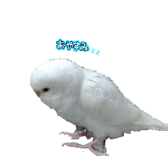 fuu_20260620175641