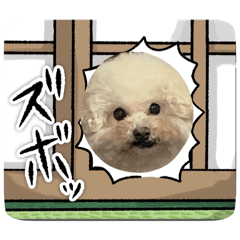 Tomo_20260621222829