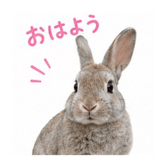 Yuka_20260621233251