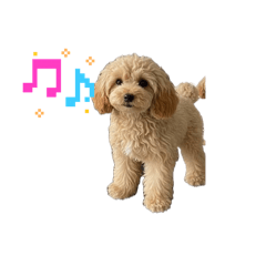 Hiroki_20260622002203