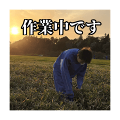 a_20260622000546