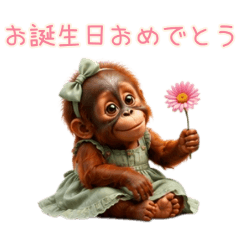 PAKAMOGOLY_20260622002538