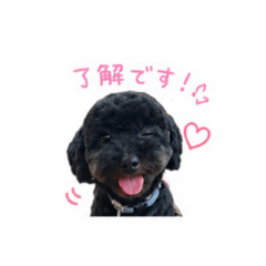 aska-no-koko