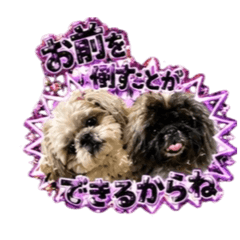 USHIO&TORA everydaysticker