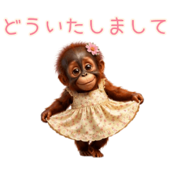 PAKAMOGOLY_20260622070941