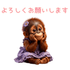 PAKAMOGOLY_20260622074040
