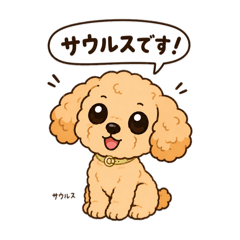 MACO_20260622084036