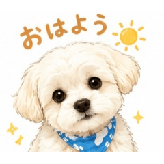 marumi_20260622090926