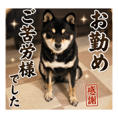 KotaRo_20260622092715