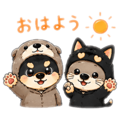 Serori_20260622092650