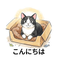 TOSHIKO_20260622105024