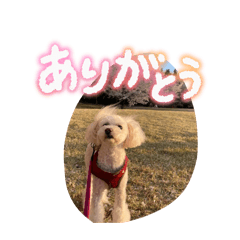 A day of Mell