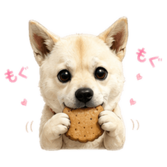 minnanosenmu_20260621105246