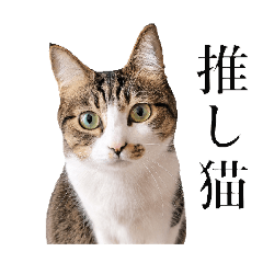marimochan stamp