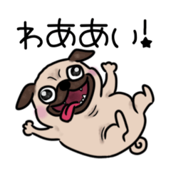 GAHAKU_20260621105851