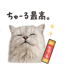 nyan_20260622122107