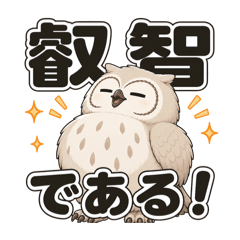 SHINON_20260622122931