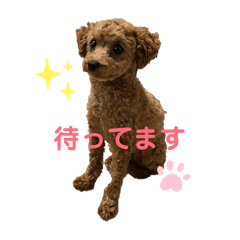 Tea_20260622125109