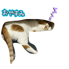 Genji_20260622131201