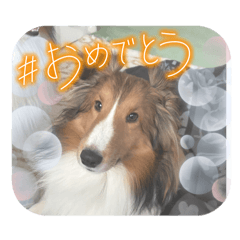 Sora_20260622133836