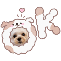 haru_20260622135304