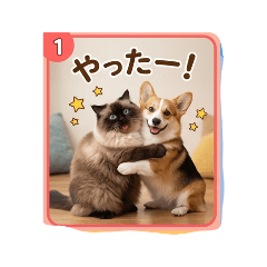 tadao_20260622142219