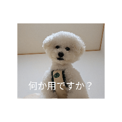 potechi_20260622142944