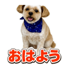 FUMI-ka_20260622142721