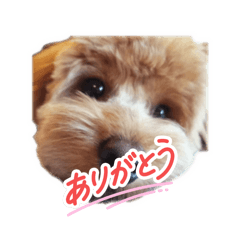 haruma_20260622142953