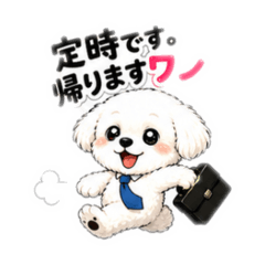 hiromu_20260622142957