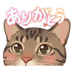 makiko_momo